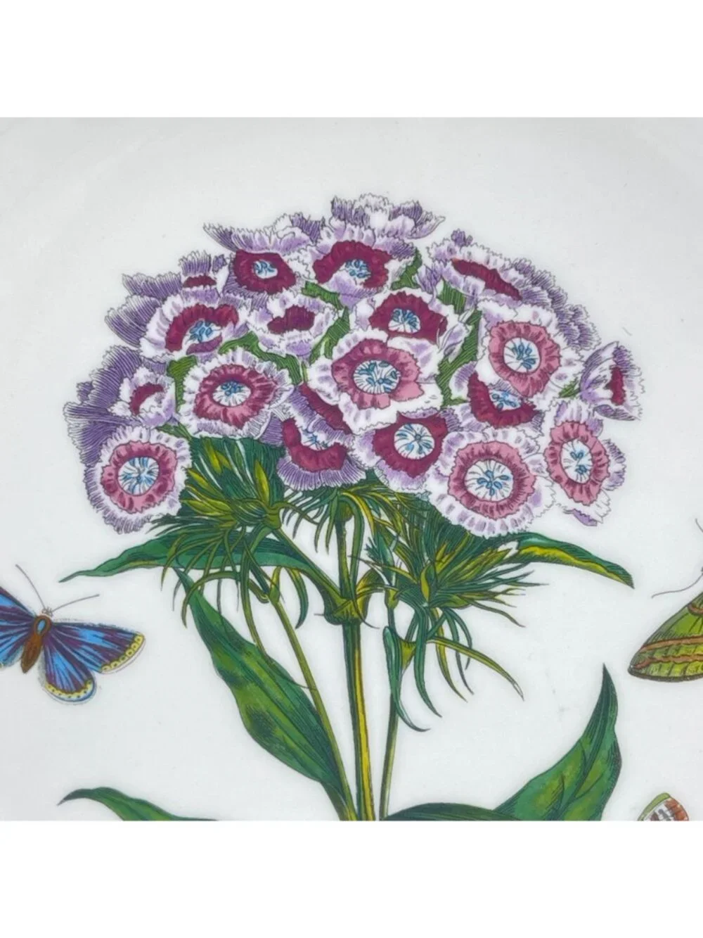 portmeirion botanic garden collection salad plate 